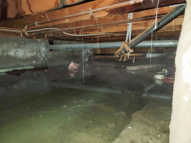 Basement Water Cleanup in Gilbert, AZ