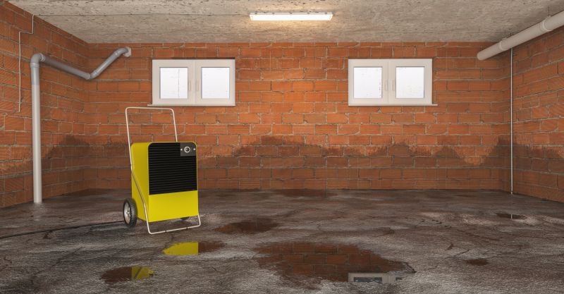 Basement Water Mitigation in Chandler, AZ