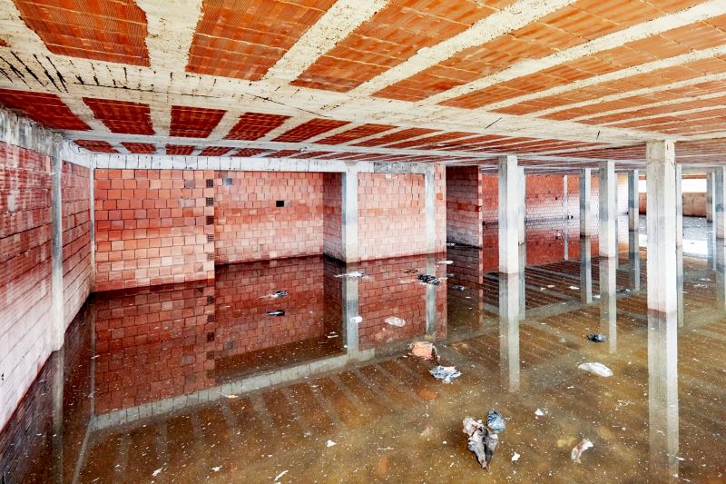 Flood Cleanup Service in Chandler, AZ
